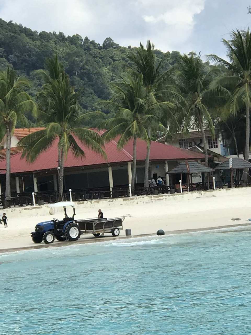 马来西亚关丹大海风景,海边是原始深林,野生动物随时可见
