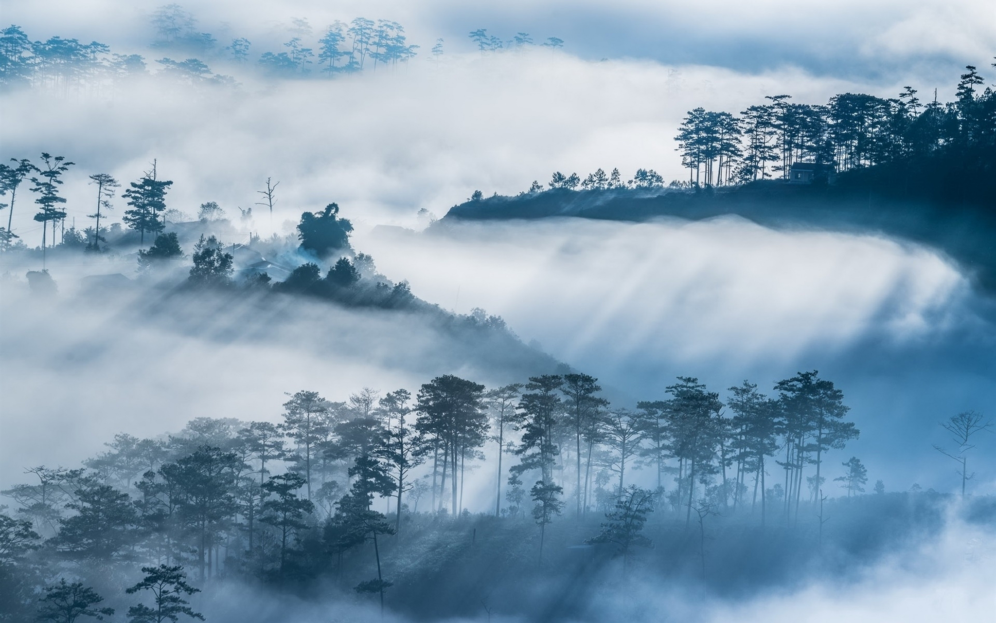 雾蒙蒙的天空图片图片