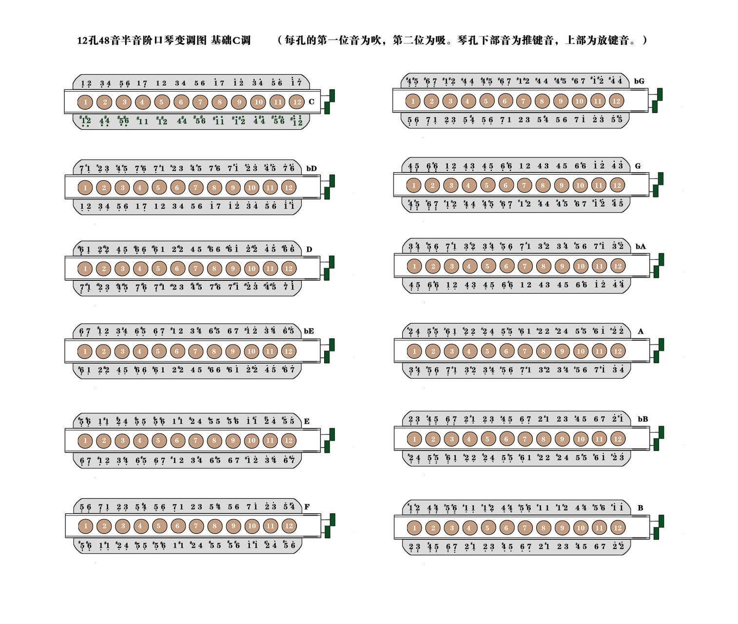 半音阶口琴转调技巧图片