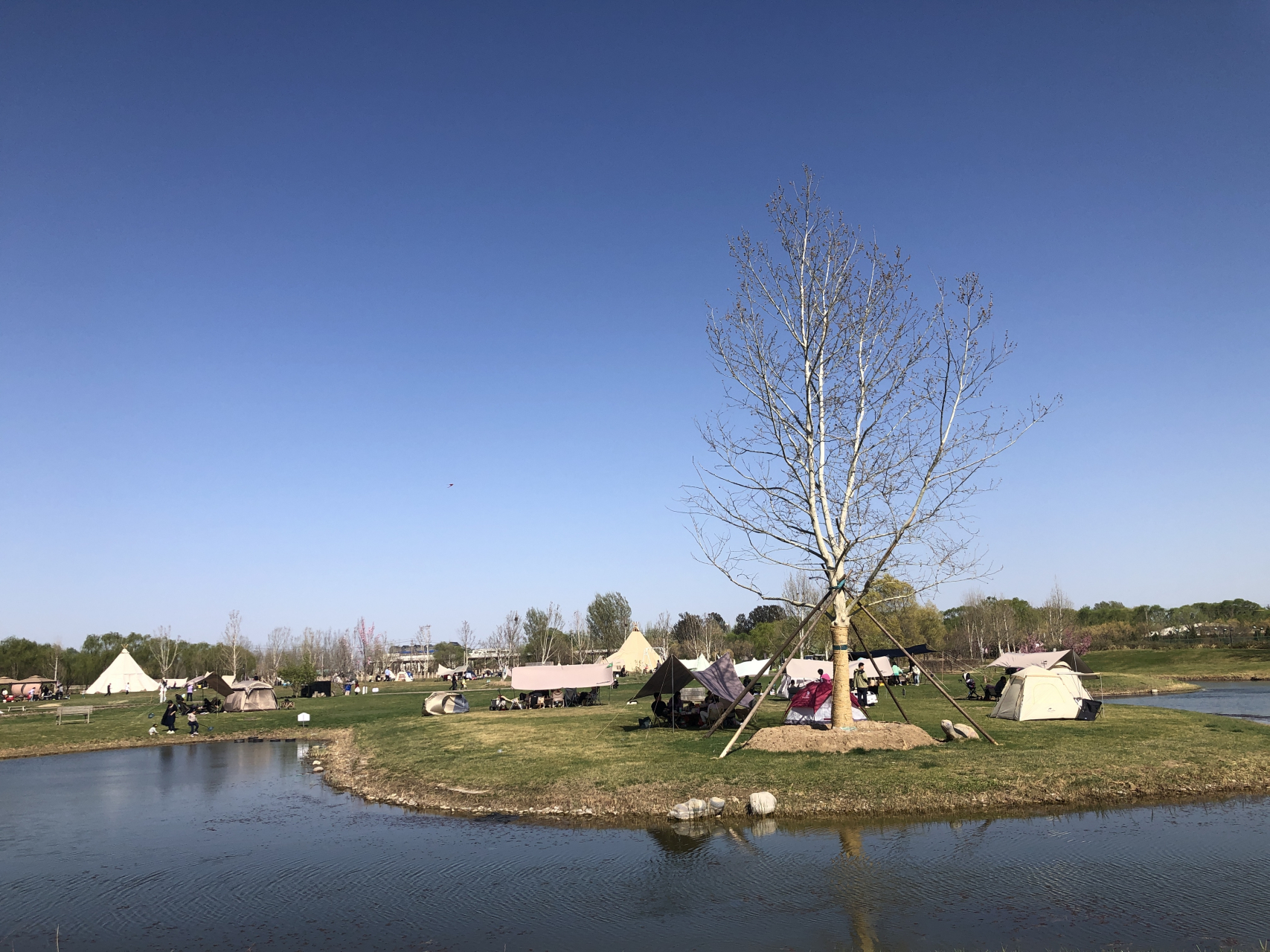 北京圣露庄园,可以扎帐篷,烧烤,还有各种美食,咖啡,红酒.适合遛娃