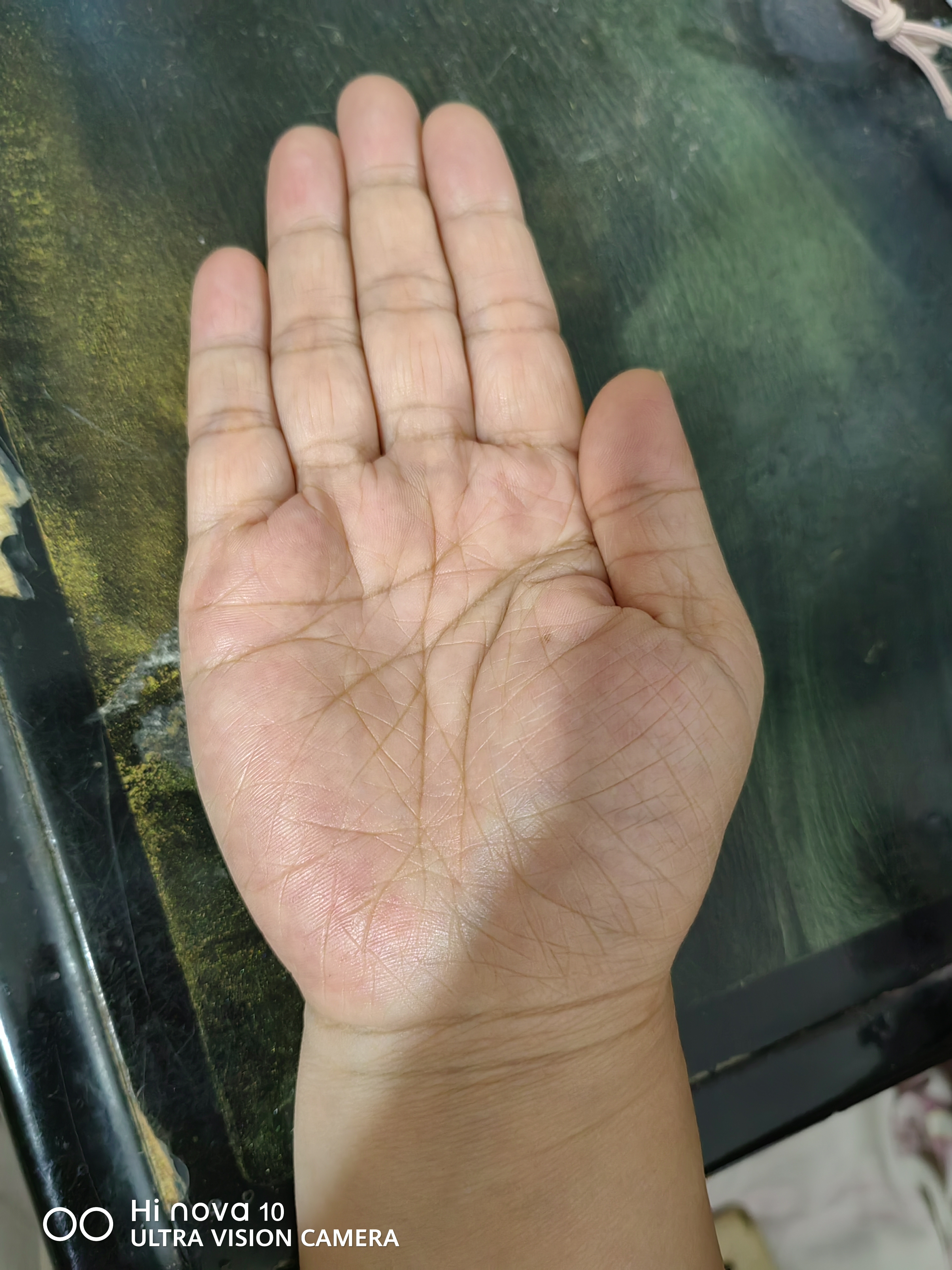蜘蛛网9015的手纹,劳累