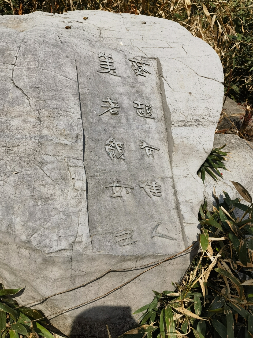 她身着一件红白相间的外套,时尚又不失活泼,头