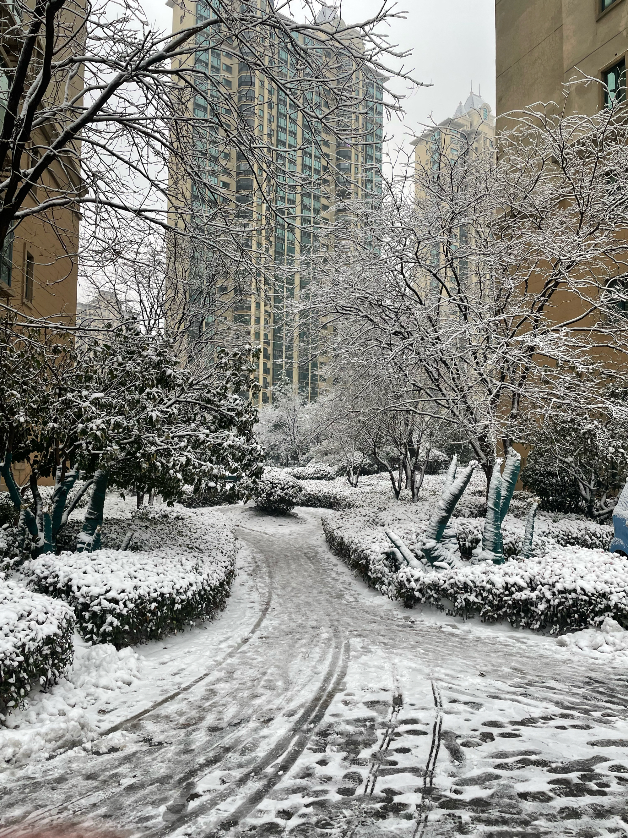 城市下雪的照片图片