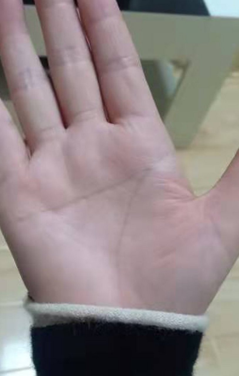 断掌的女人  手上没有智慧线代表什么?