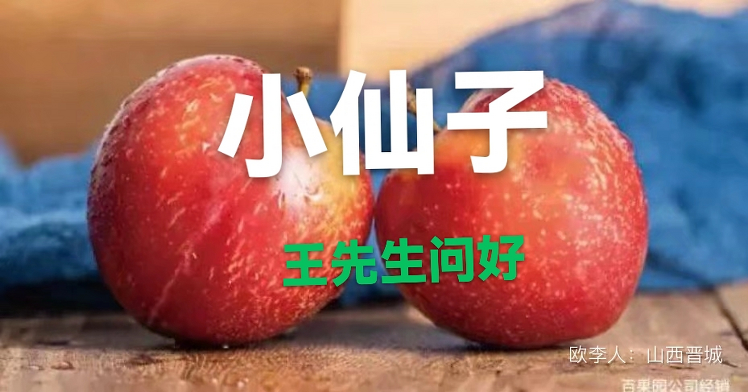 小仙子美国樱桃李在中国上市品种