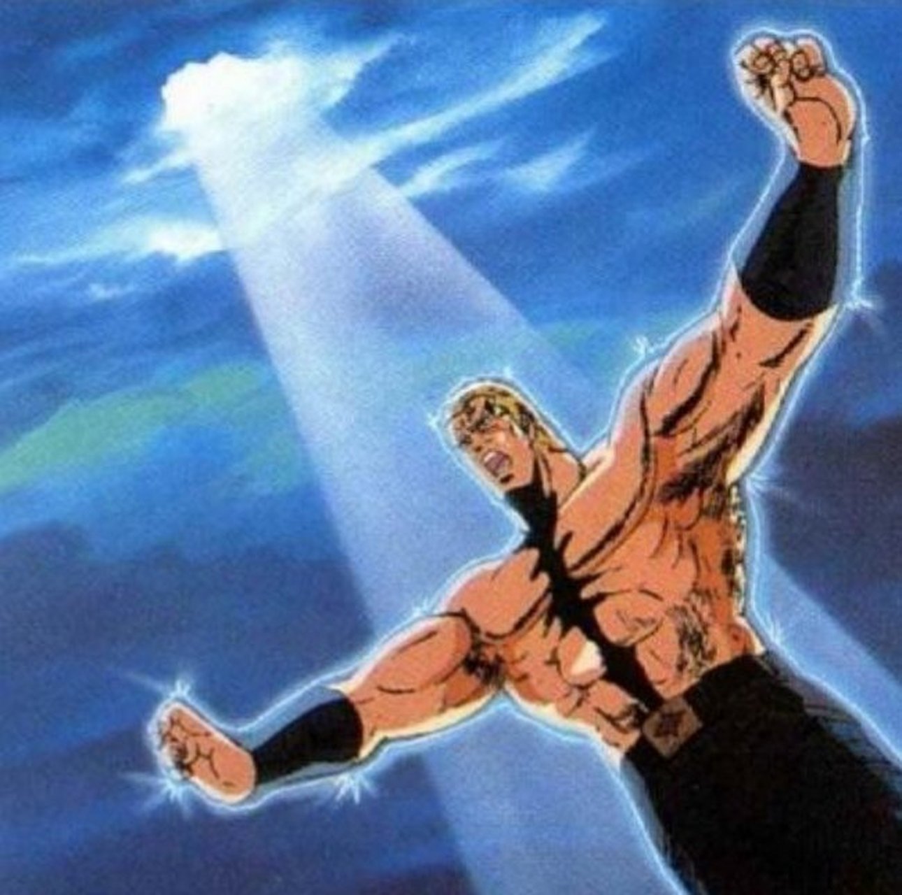 南斗凤凰拳极星圣帝沙无然