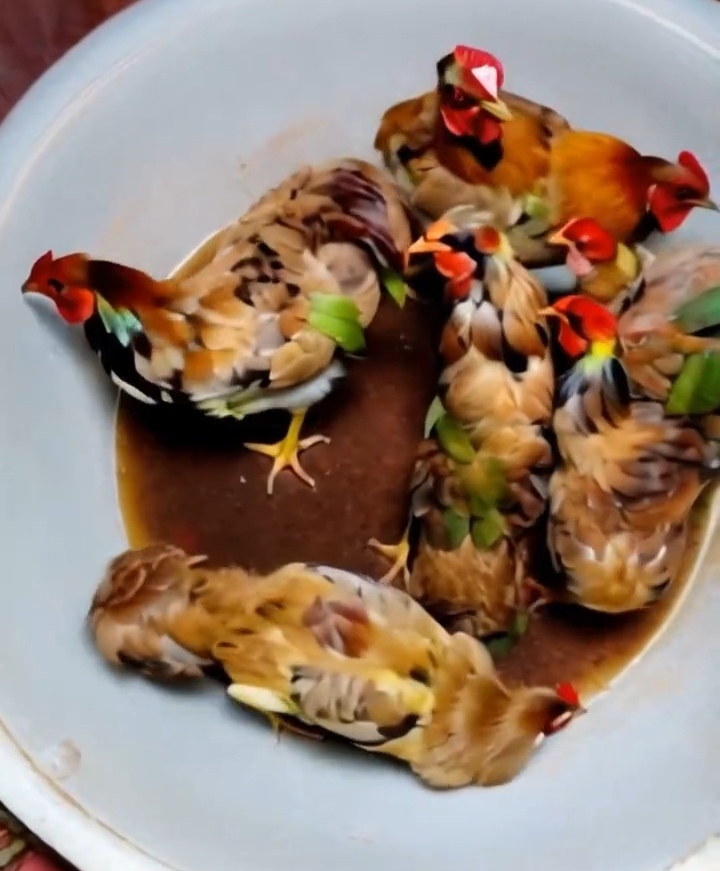 你眼前看到的并非是一盘菜,看后面图片,竟是由几只鸡组成的奇特图案.