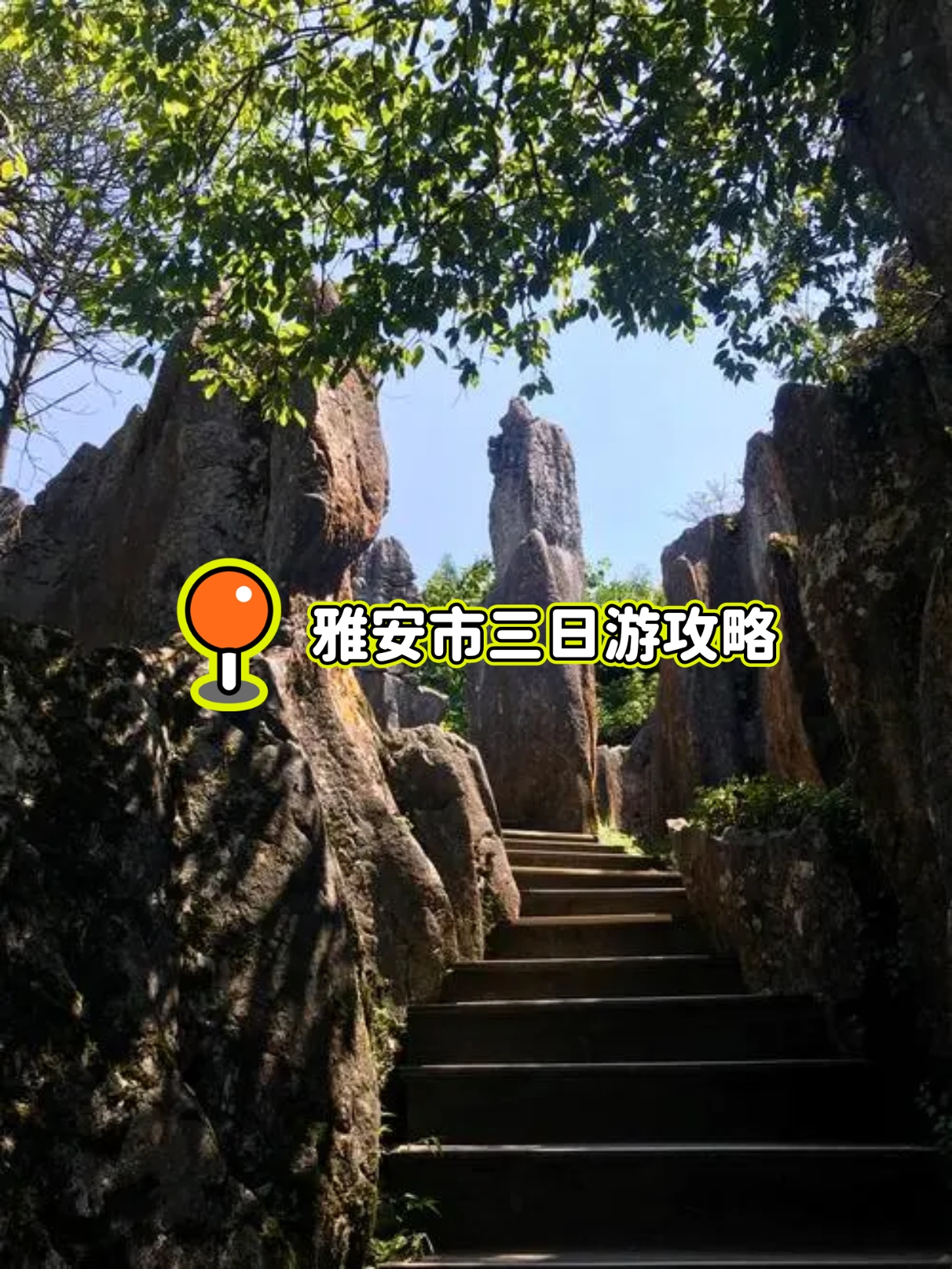 雅安碧峰峡旅游攻略图片