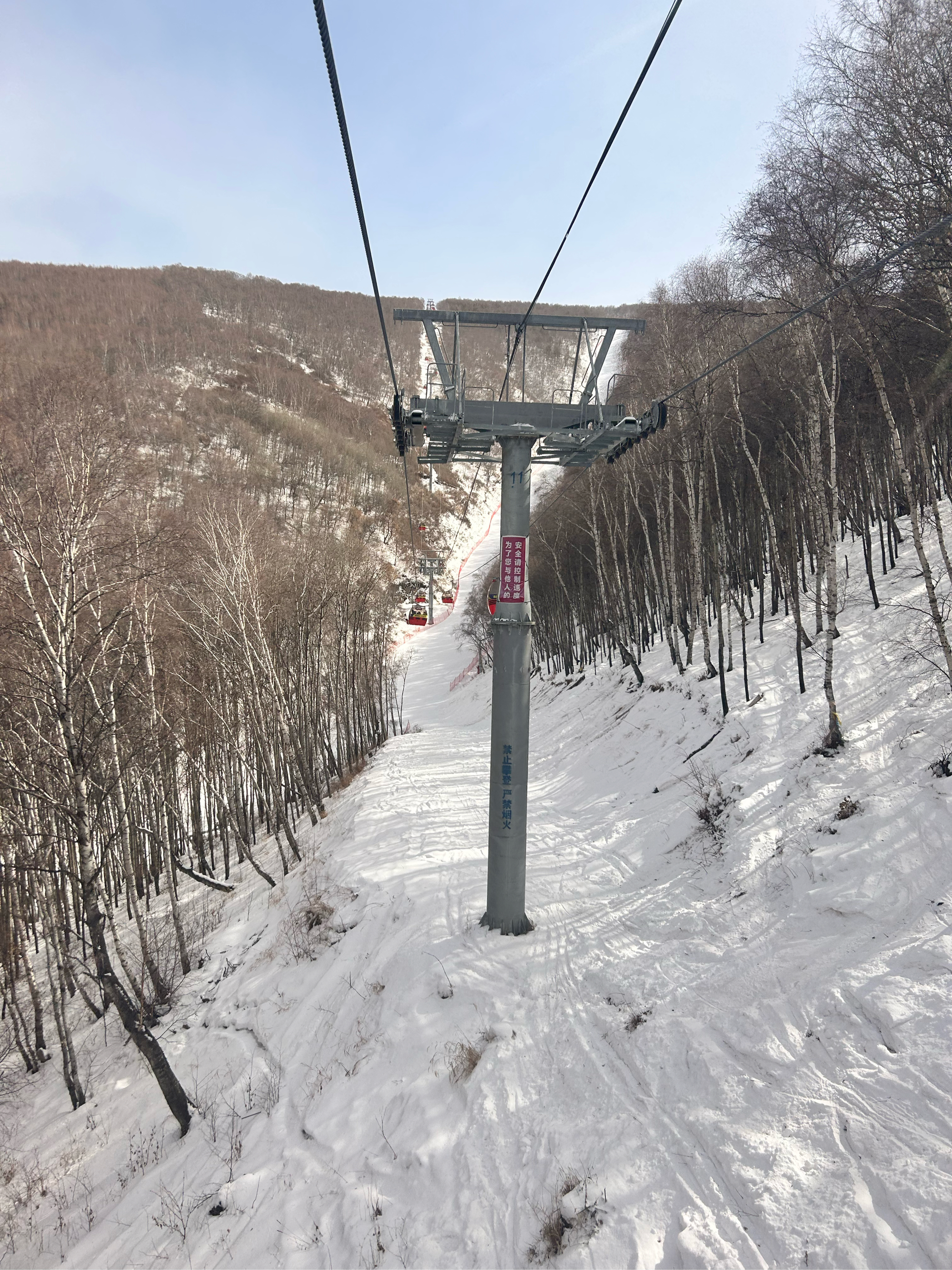 苍南玉苍山滑雪场图片