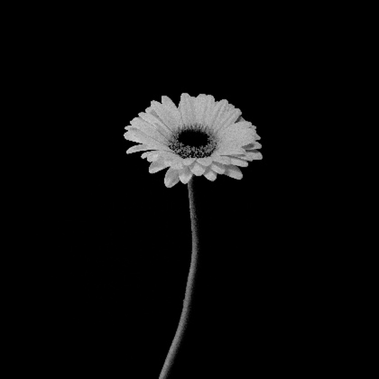 12星男面对选择时会怎样取舍  每个人这一生都会面对很多的抉择跟取舍