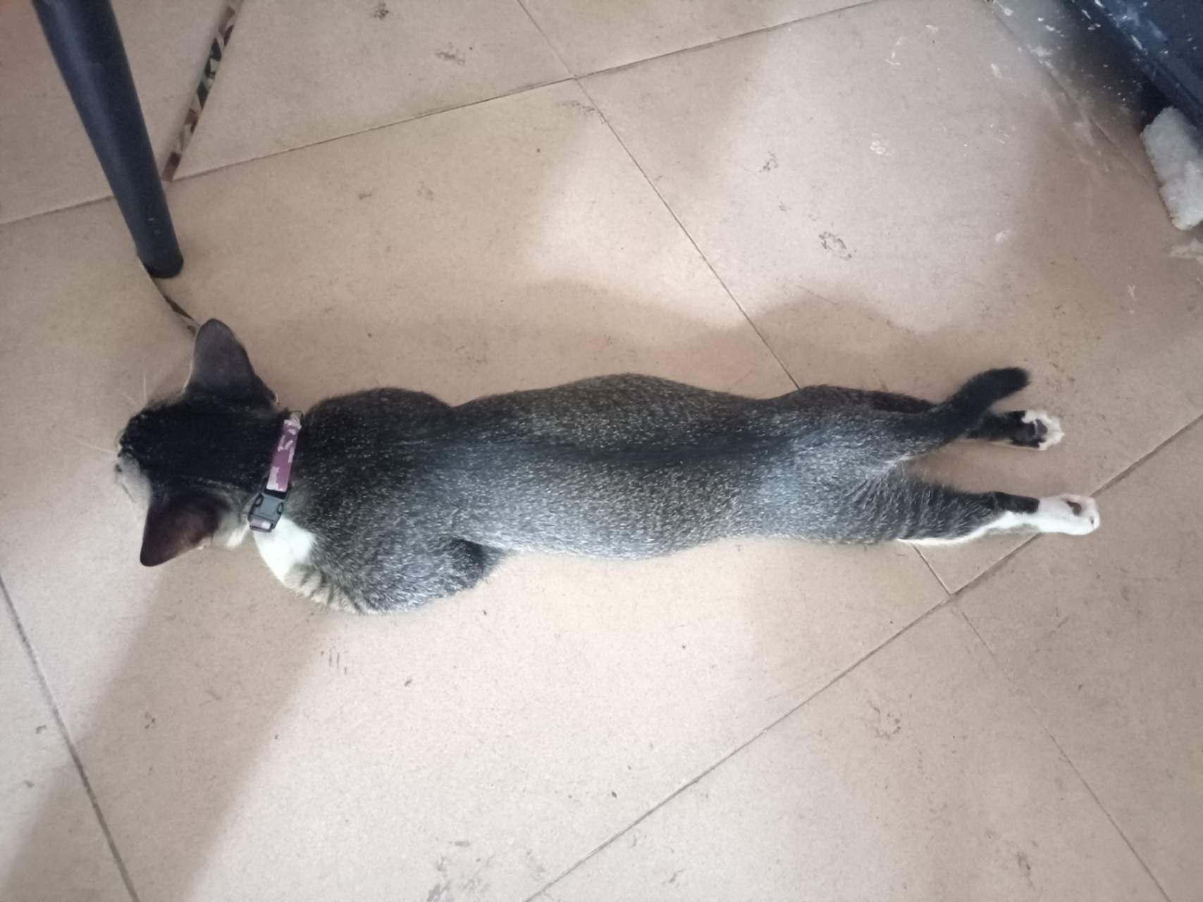 我可以在这里写读后感