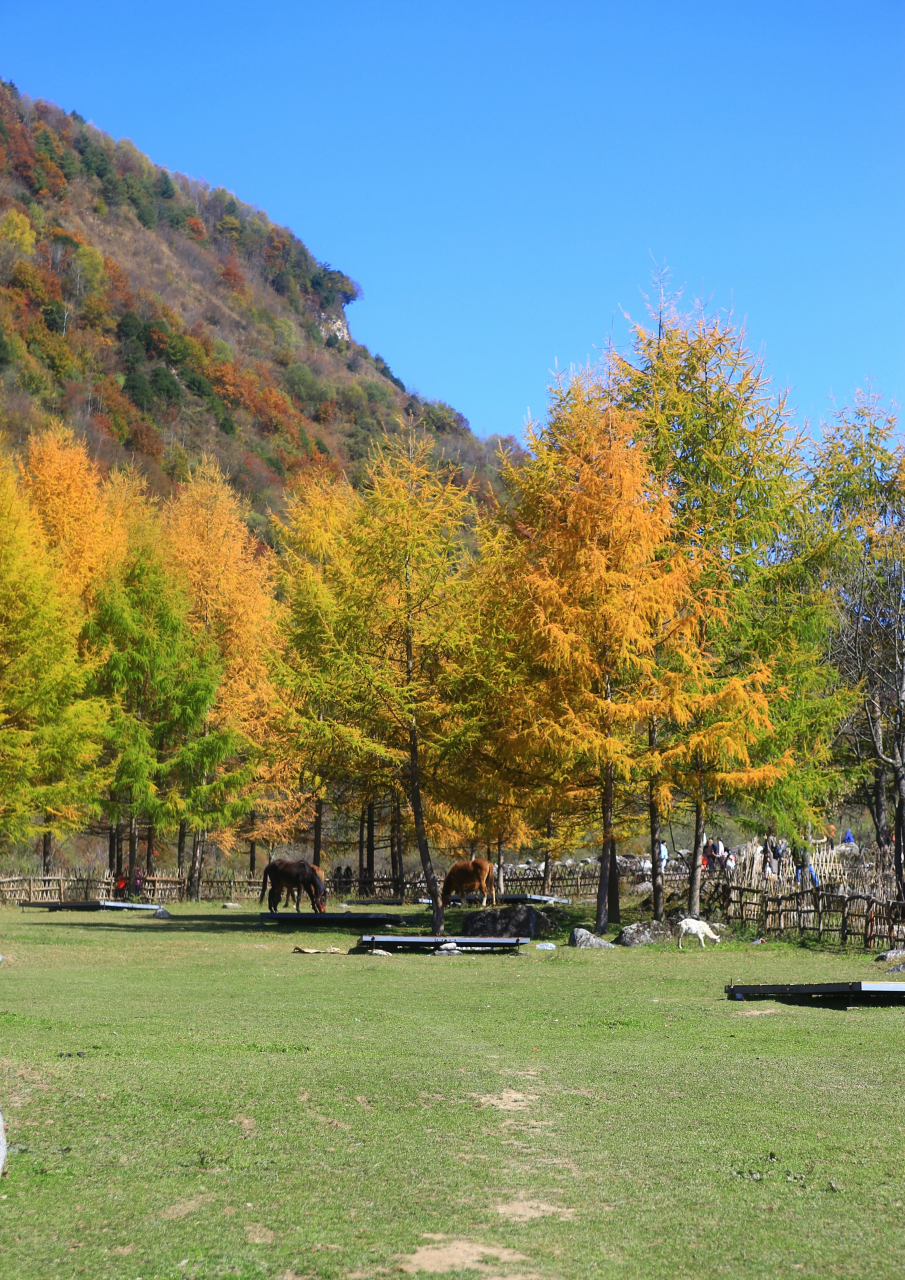 91我站在湖边,心情豁然开朗.