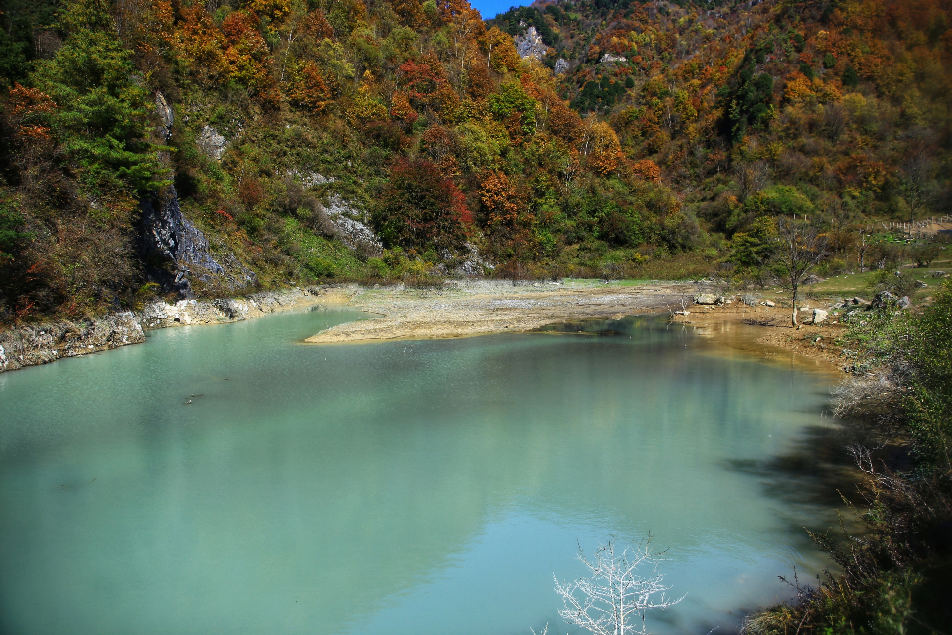 91我站在湖边,心情豁然开朗.