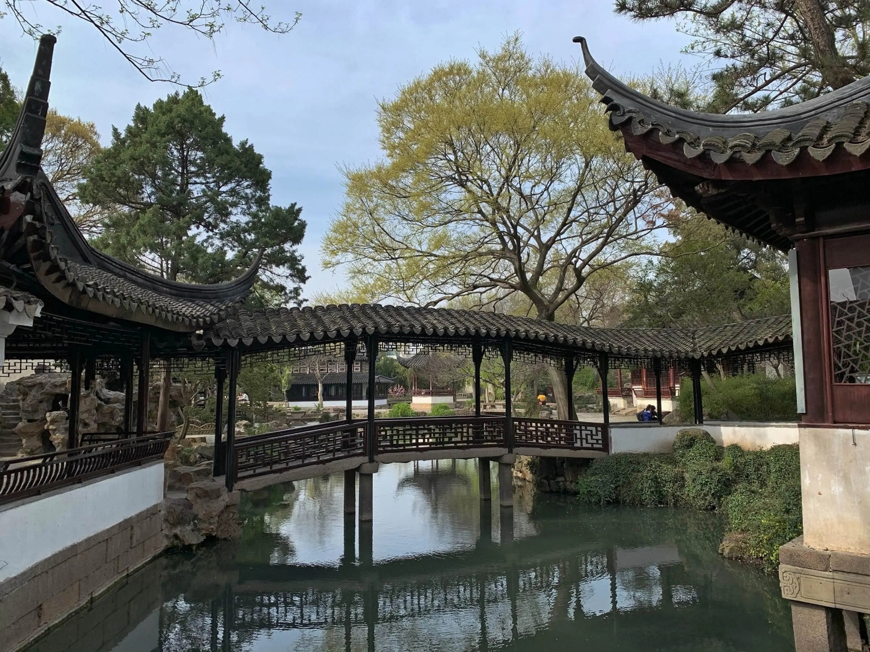 在苏州拙政园漫步,古色古香的园林尽显东方韵味,每一处景致都让人心旷