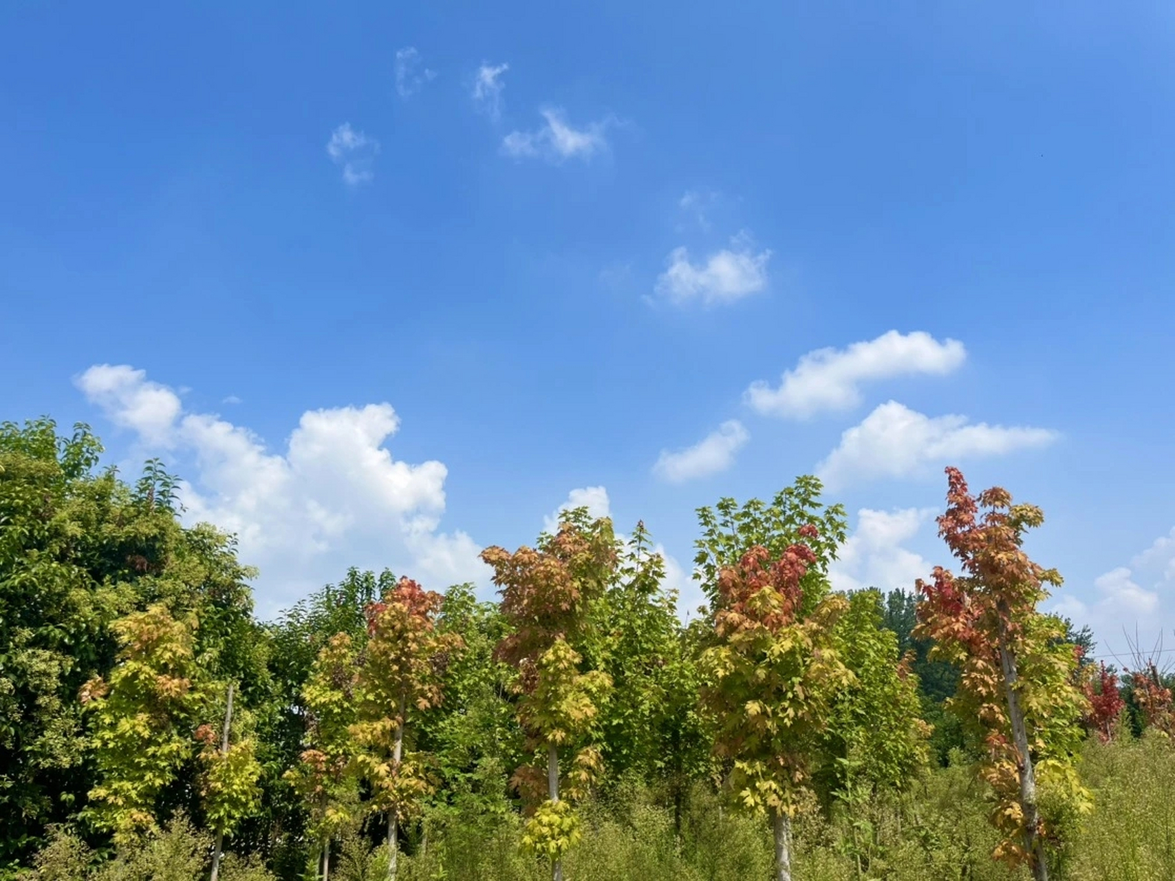 脚步轻快,心情愉悦,这就是我追求的生活.