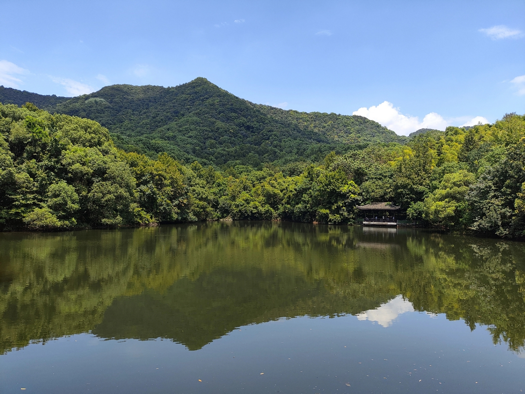那天去了杭州半山国家森林公园,空气清新,景色宜人,心情也变得舒畅.