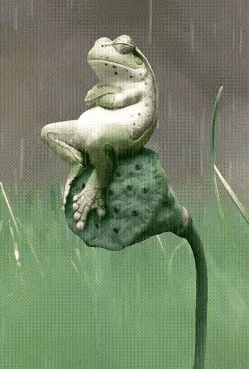 本是蛙界无名客 却因天鹅恋红尘 终身未偿天鹅肉