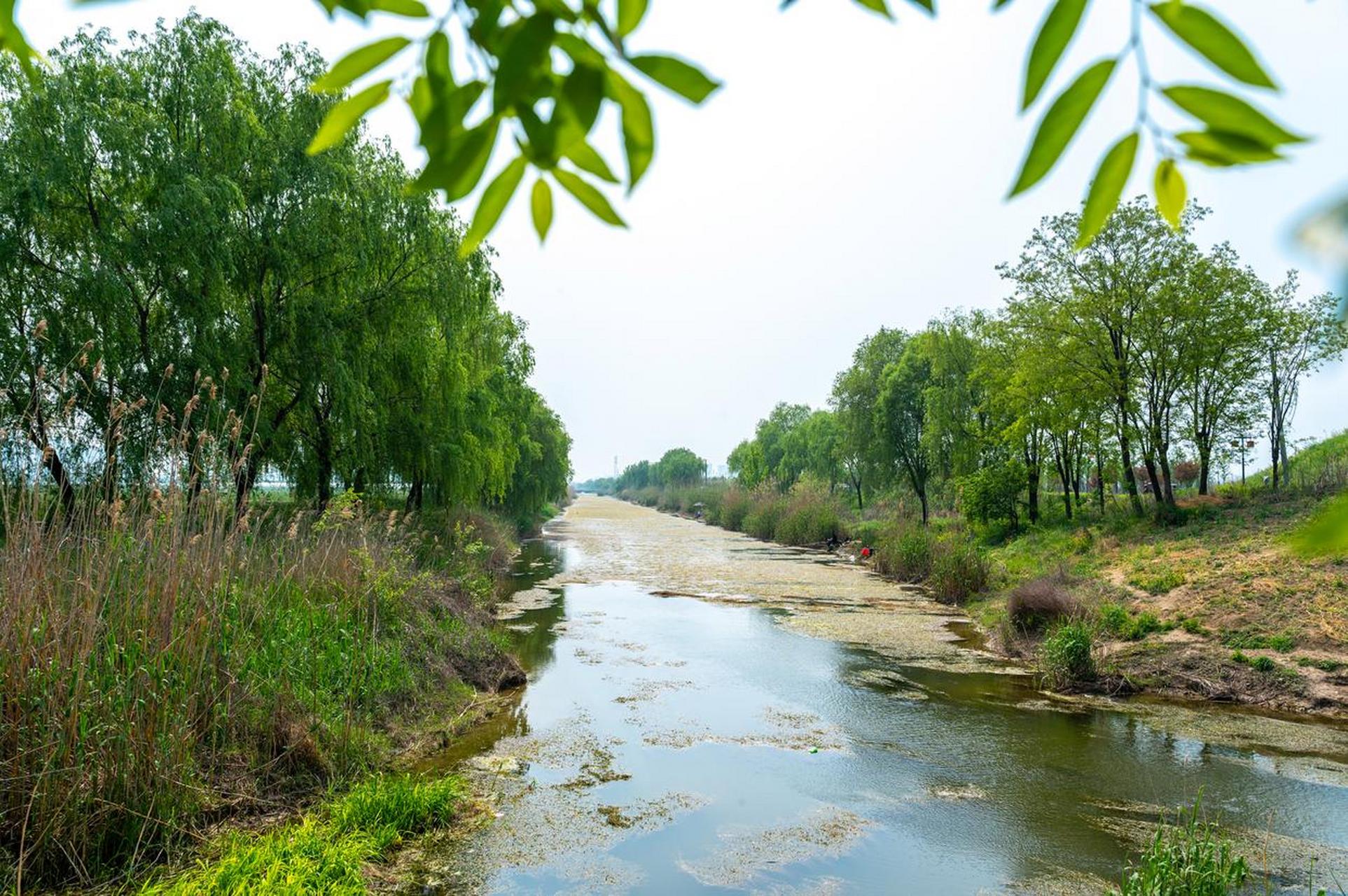 隋唐大运河通济渠安徽泗县段河道遗址成为安徽省继黄山,西递宏村古