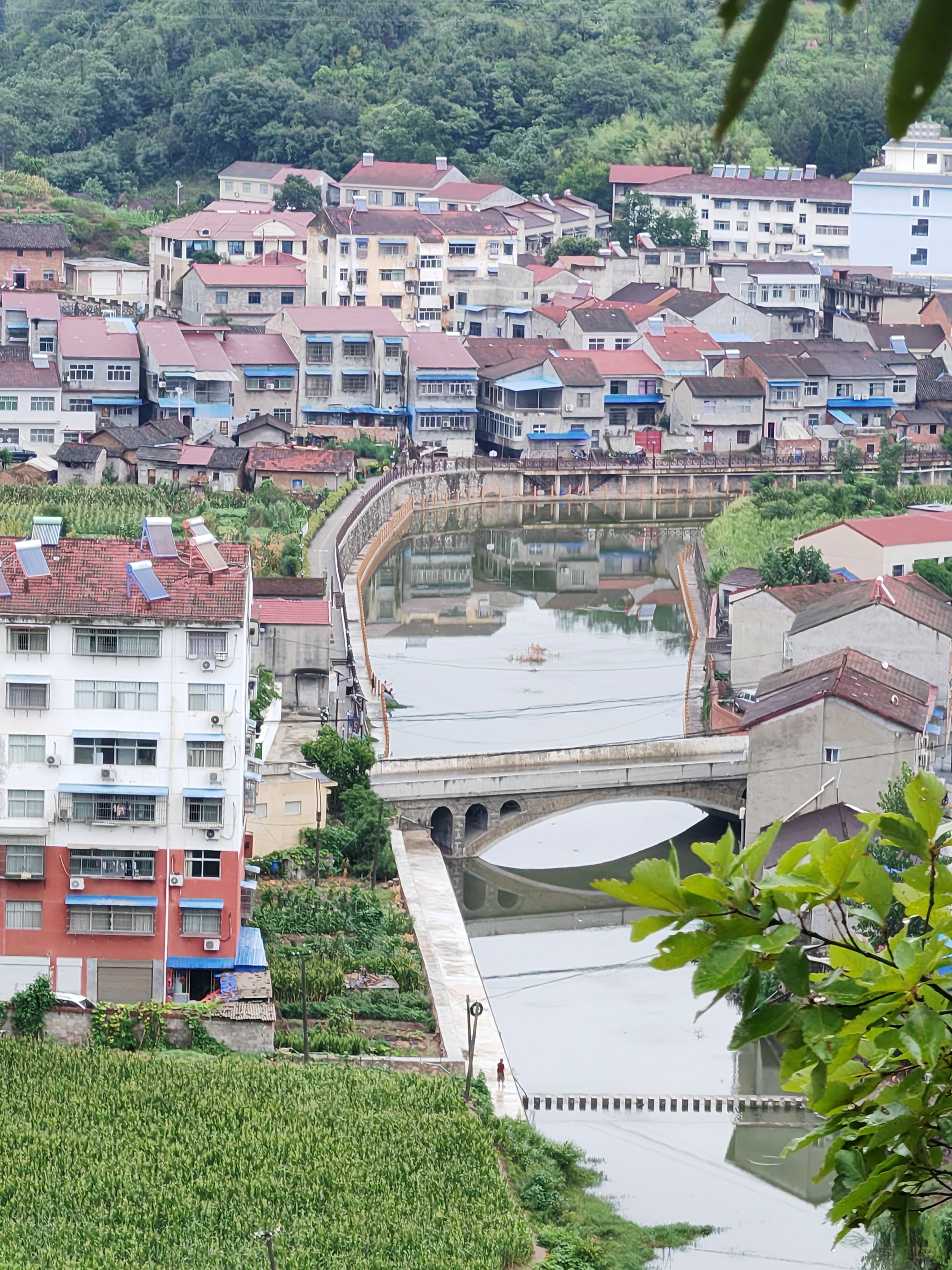 台州市温岭市新河镇图片