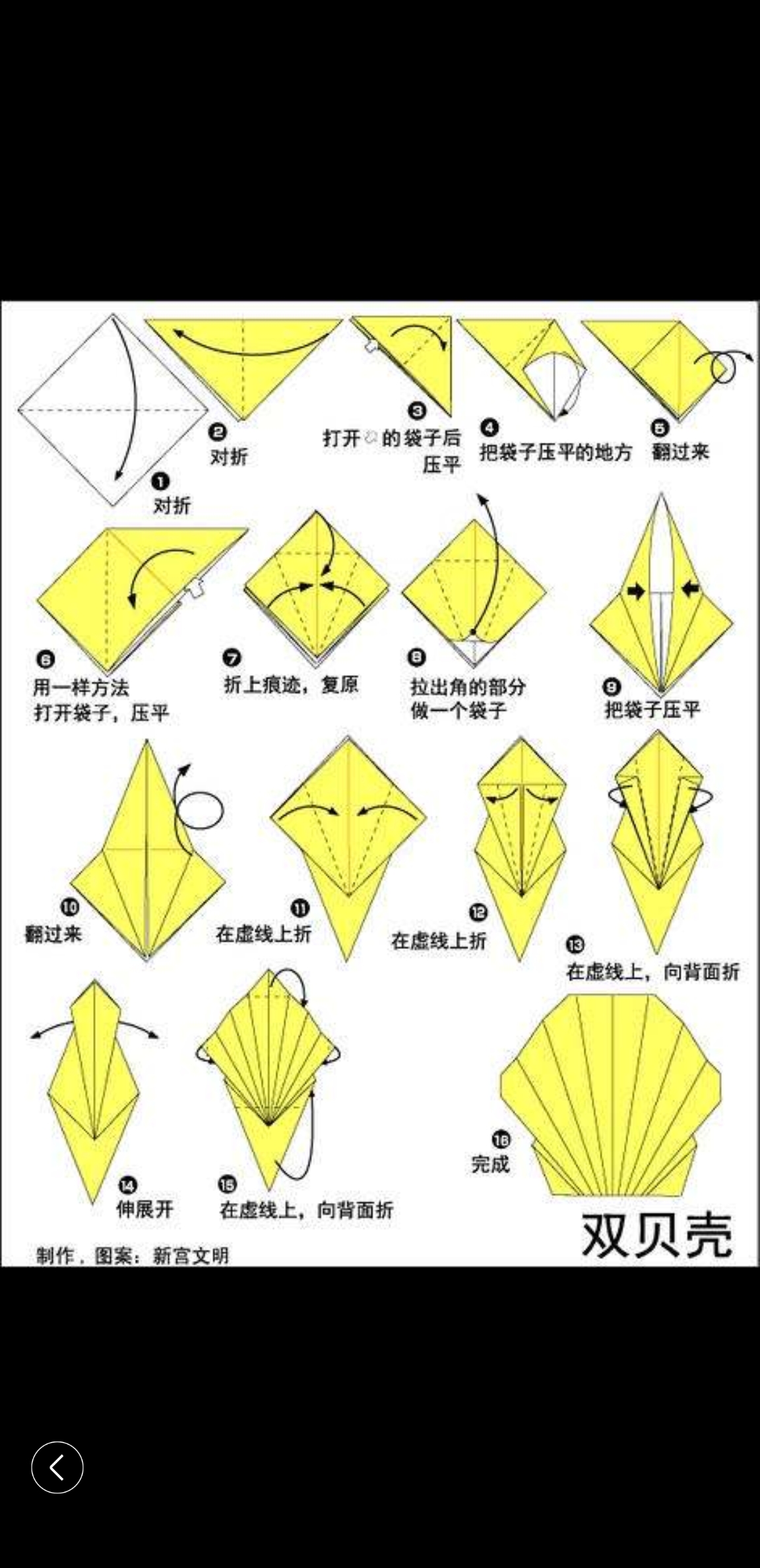 贝壳能这样折,很好看!