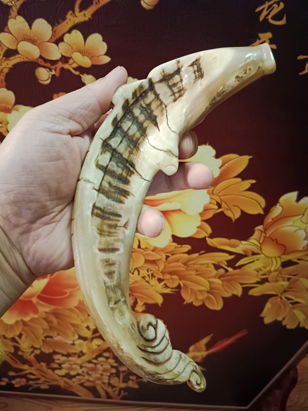 爪蛙群导有犀牛,名曰爪蛙犀牛,其角为爪蛙犀牛角,因角质多为胶质状,有