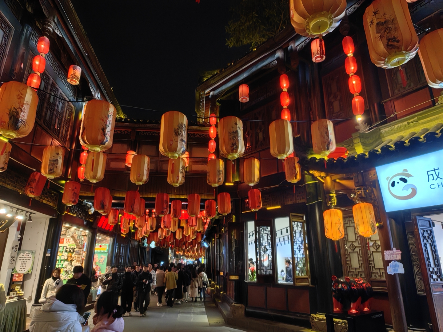 202502四川成都武侯区(二十三) 成都夜景