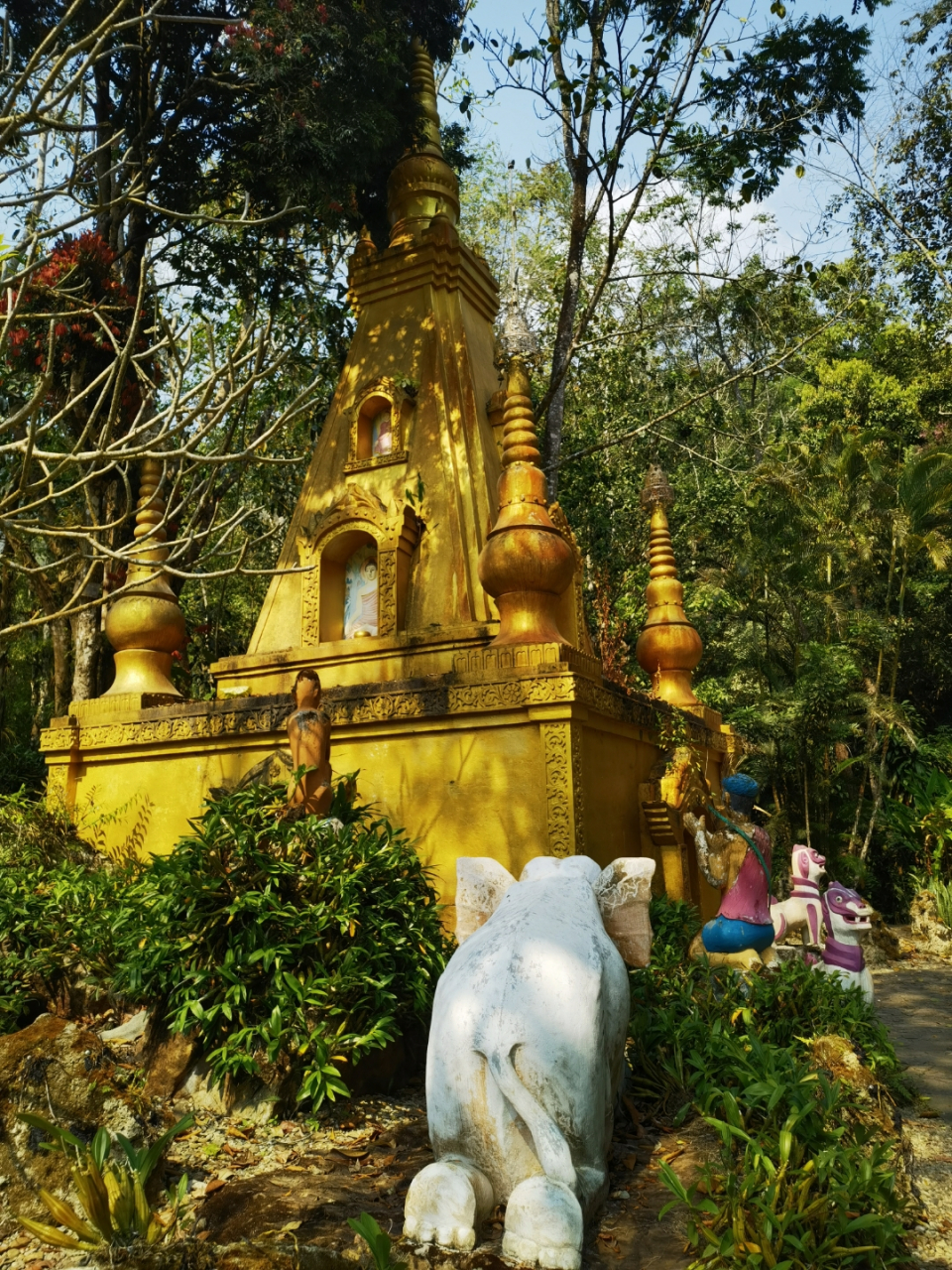 云南德宏202303 瑞丽莫里热带雨林是一个集热带雨林,宗教信仰,休闲