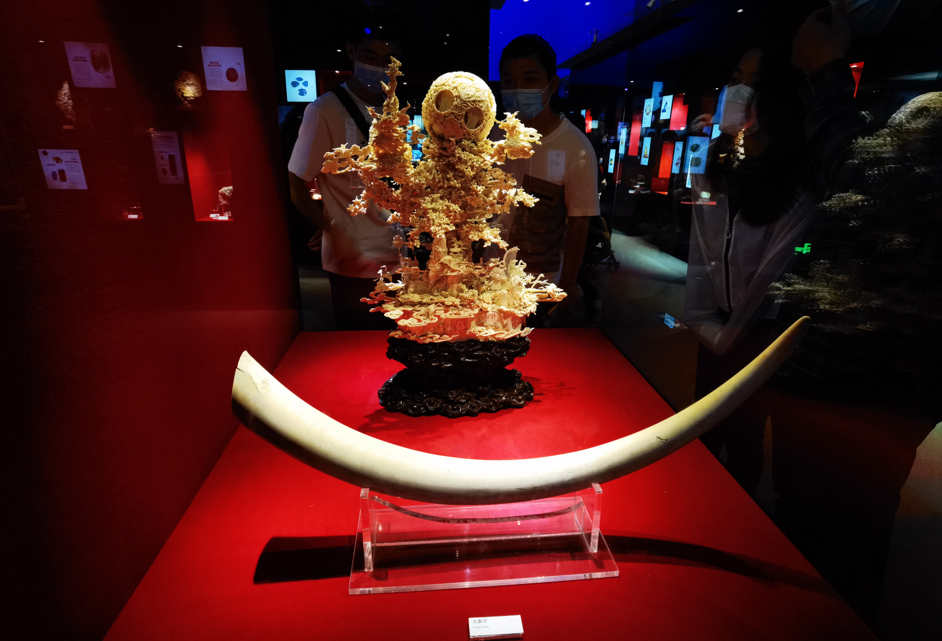 广东广州202302 广东博物馆展品(四)