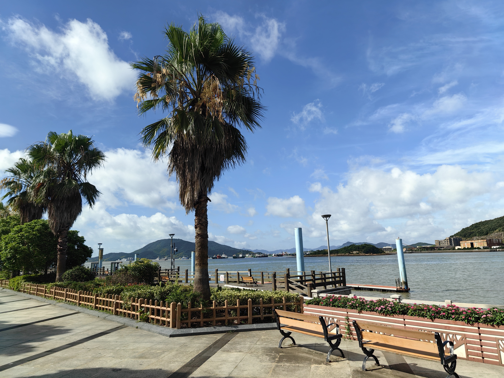 202407浙江舟山 定海海滨公园占地面积4.