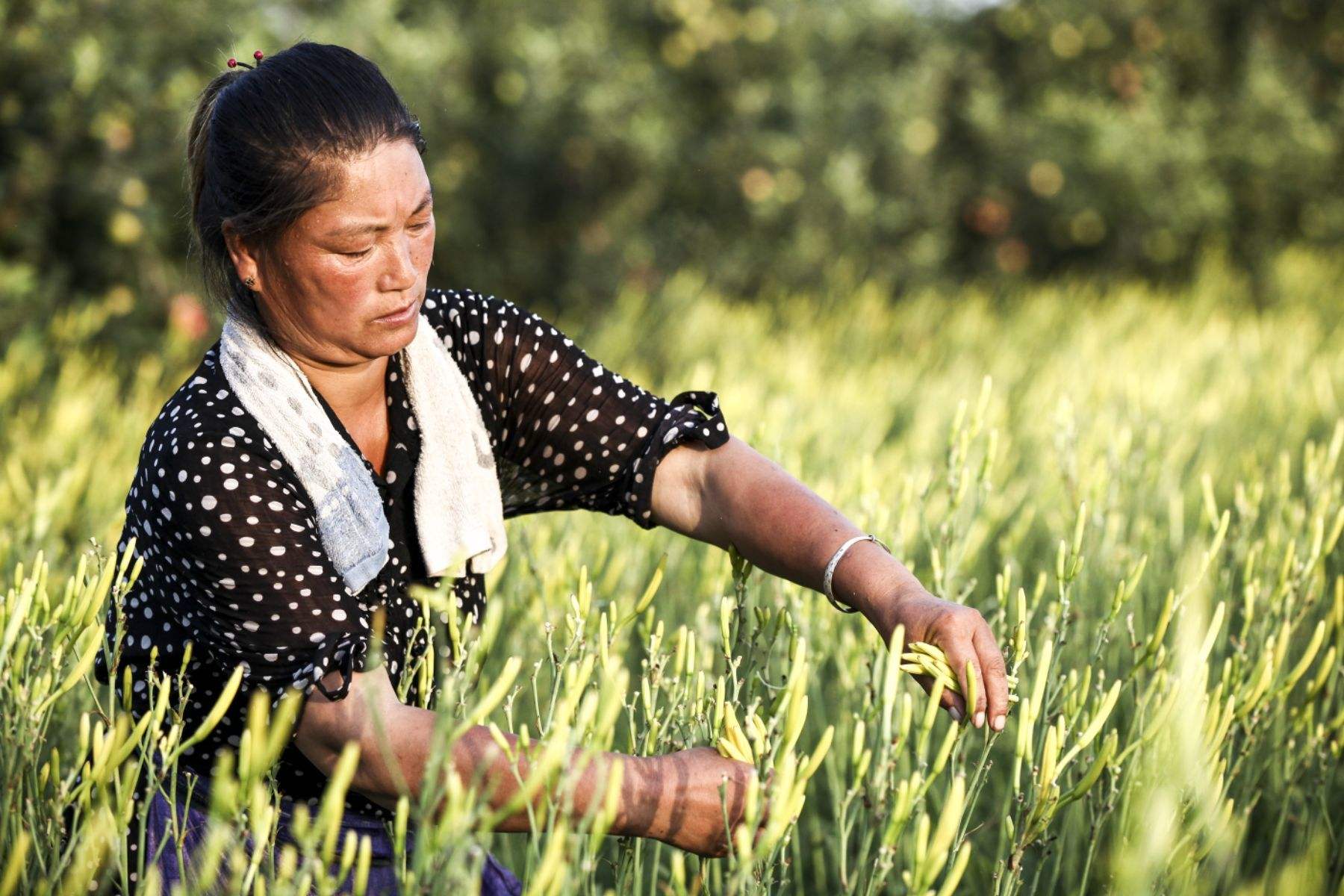 五一劳动节# #劳动节# #感悟人生