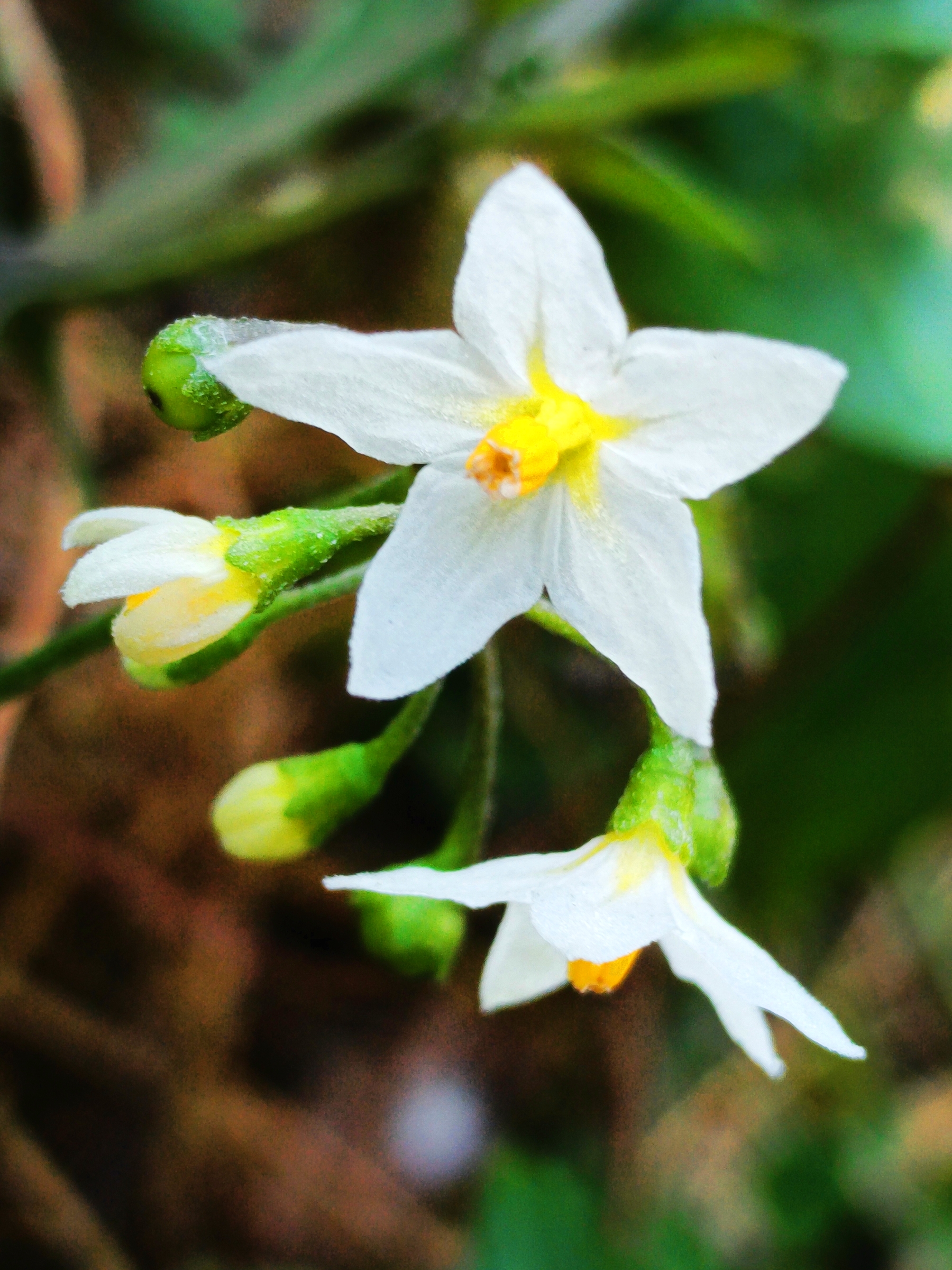 人若站在黑暗里, 连影子都会消失, 尽力让自己发光