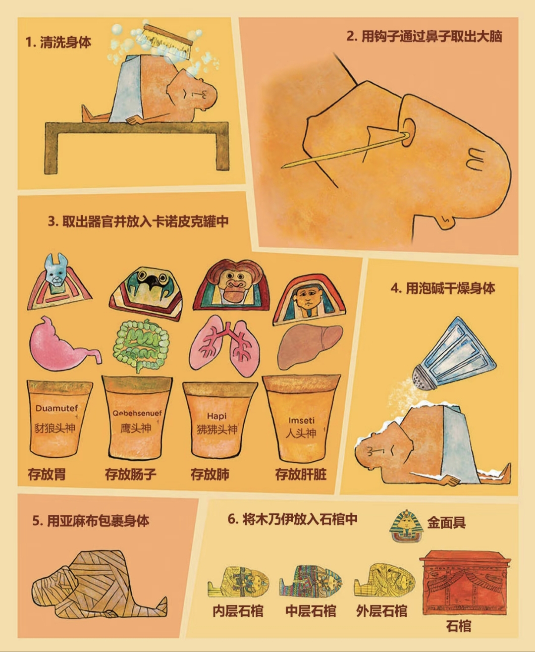 一张图了解如何制作木乃伊