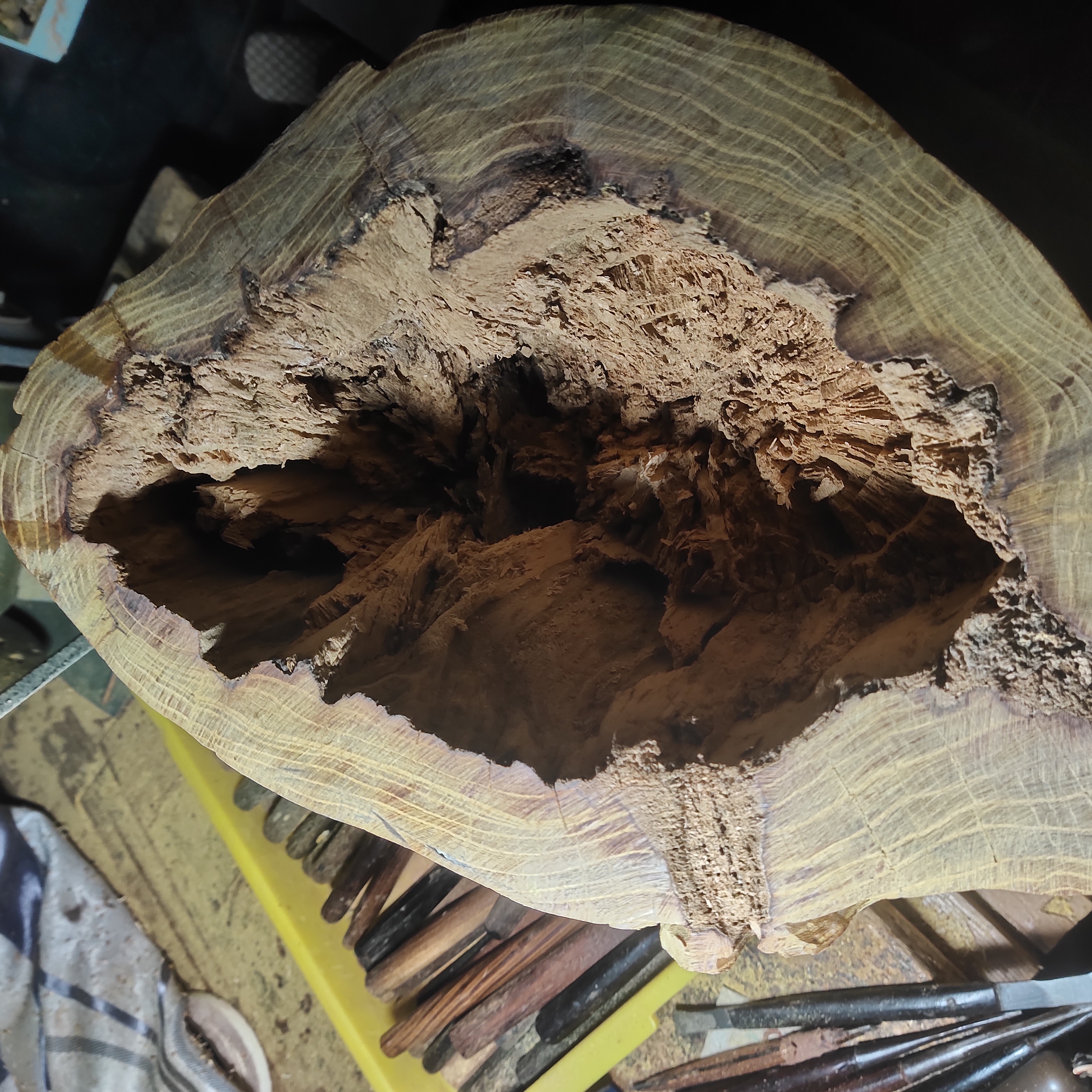 再烂的木头到我手里也会我把她变得很漂亮,千年一遇的木材