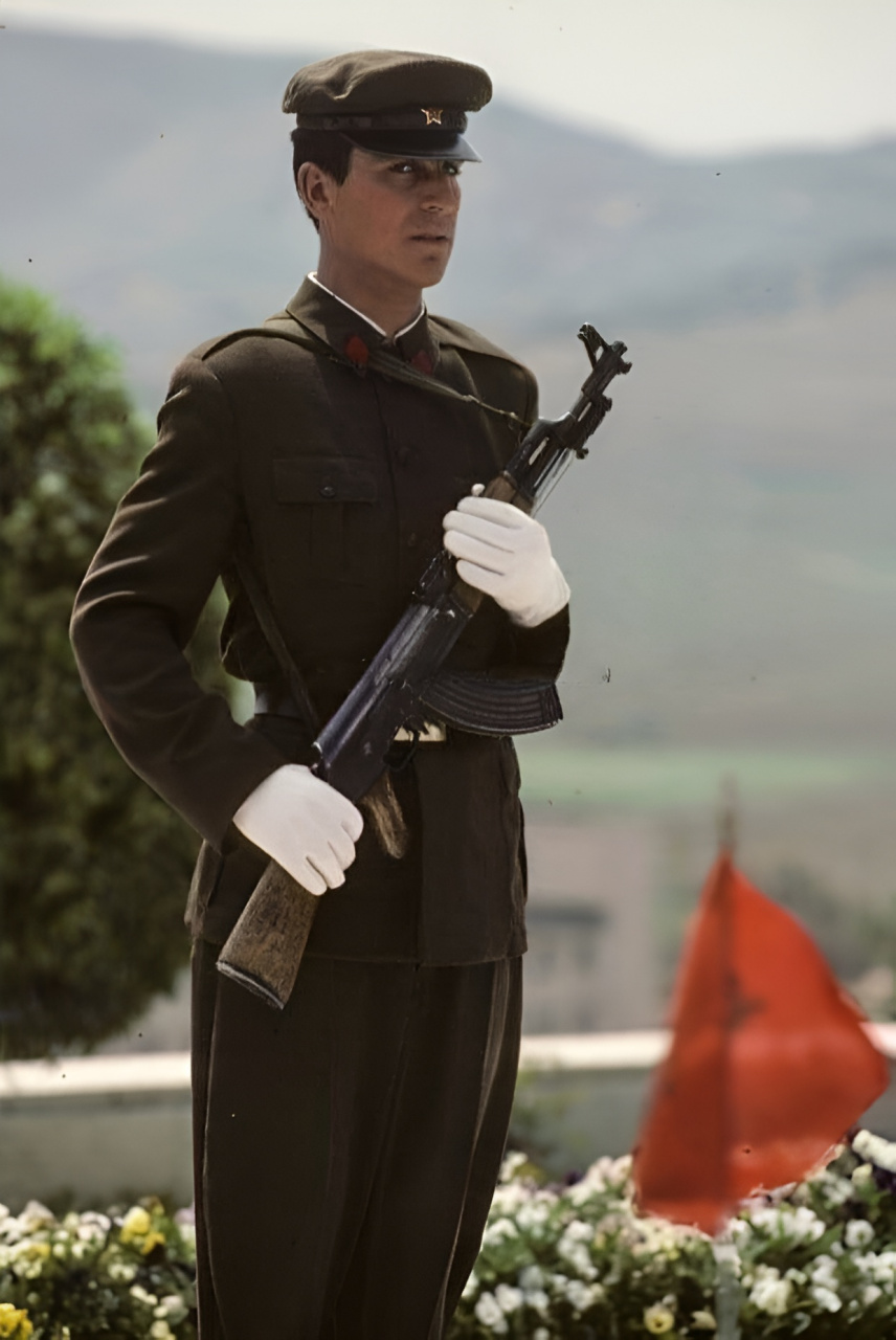 9697阿尔巴尼亚人民军,当年东欧版"解放军"#东欧##阿尔巴尼亚