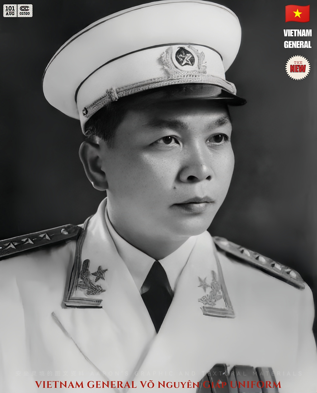 其实武元甲并不想与中国对抗,怎奈黎笋一步一步推着他往对抗中