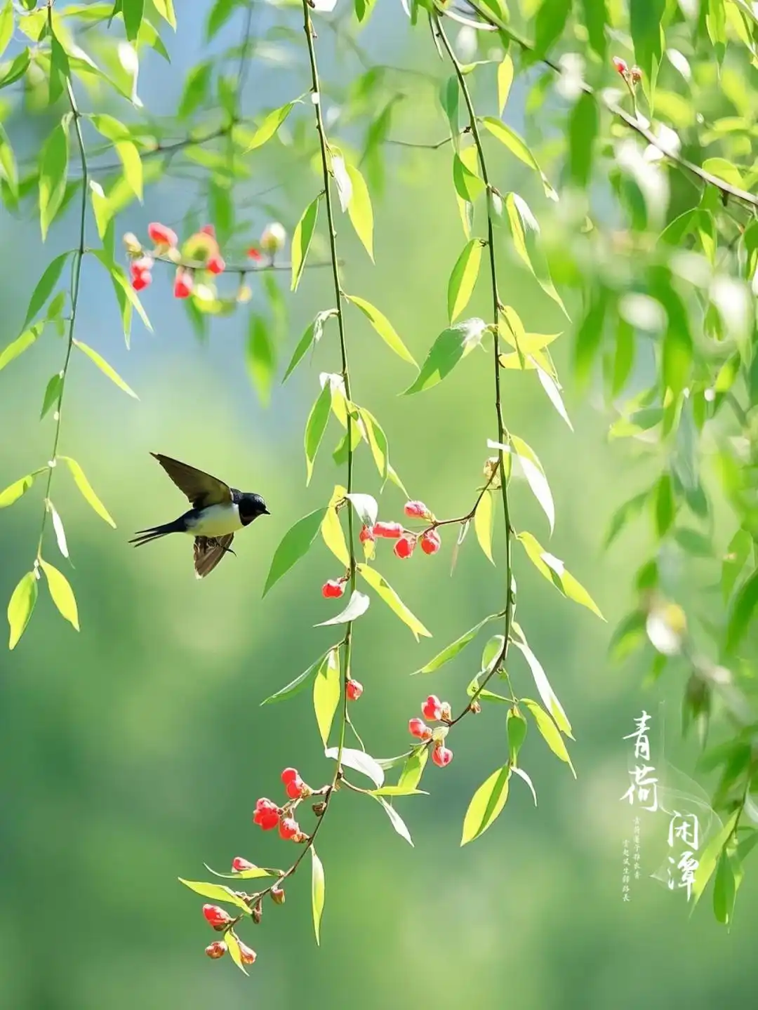 草长莺飞二月天,拂堤杨柳醉春烟. 儿童散学归来早,忙趁东风放纸鸢