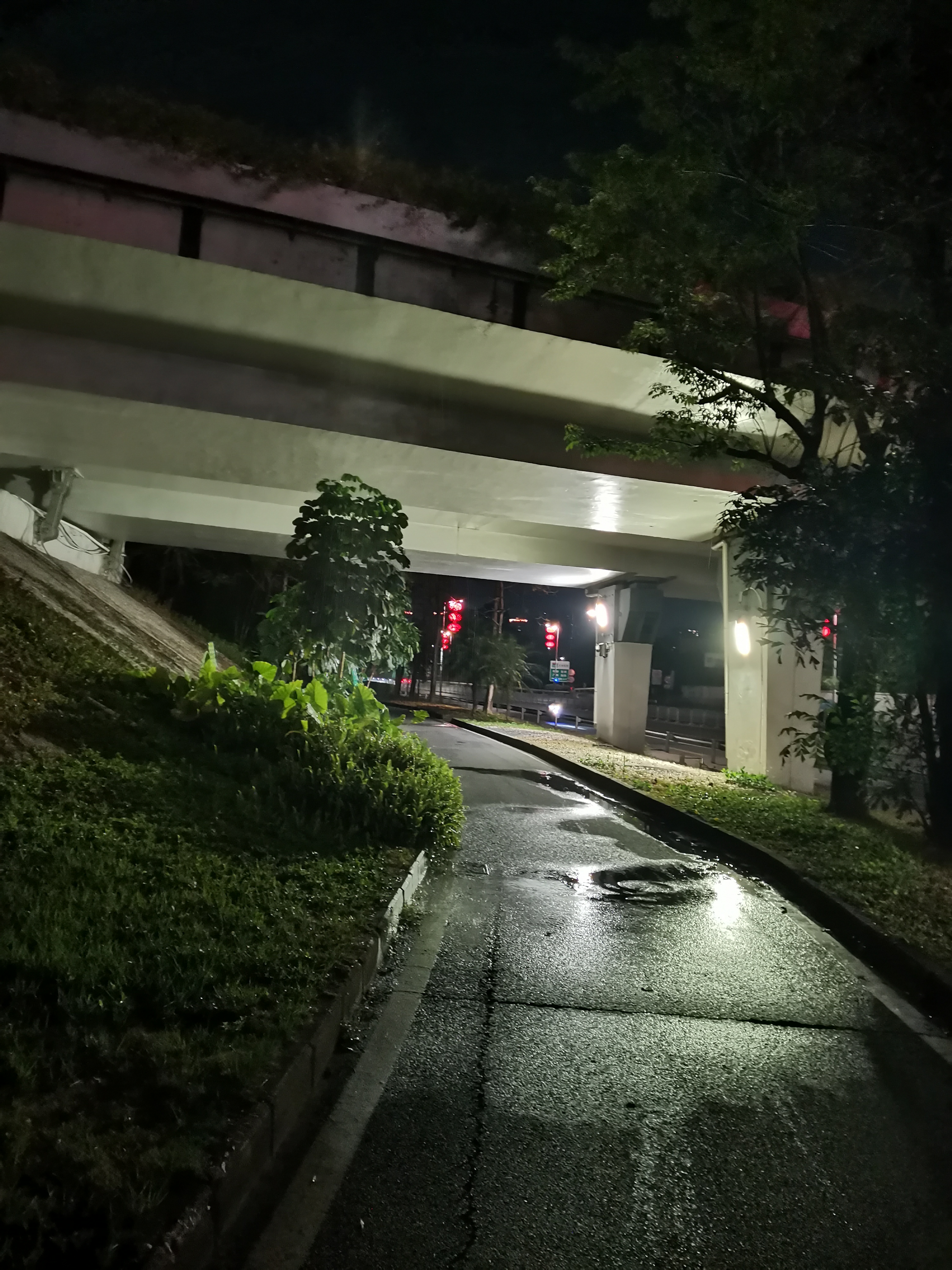 白天还好好的,一到晚上这个天桥底下就像个水帘洞,难道这就是传说中的