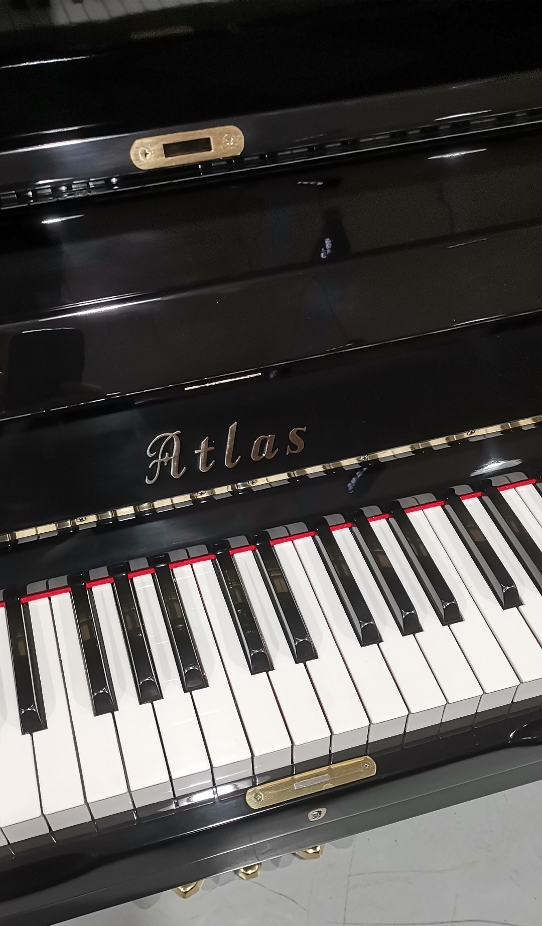 钢琴初学练手专用atlas