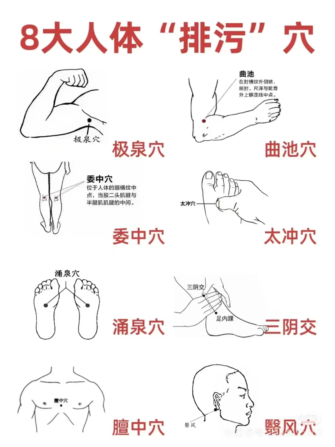 人体自带的 排污口