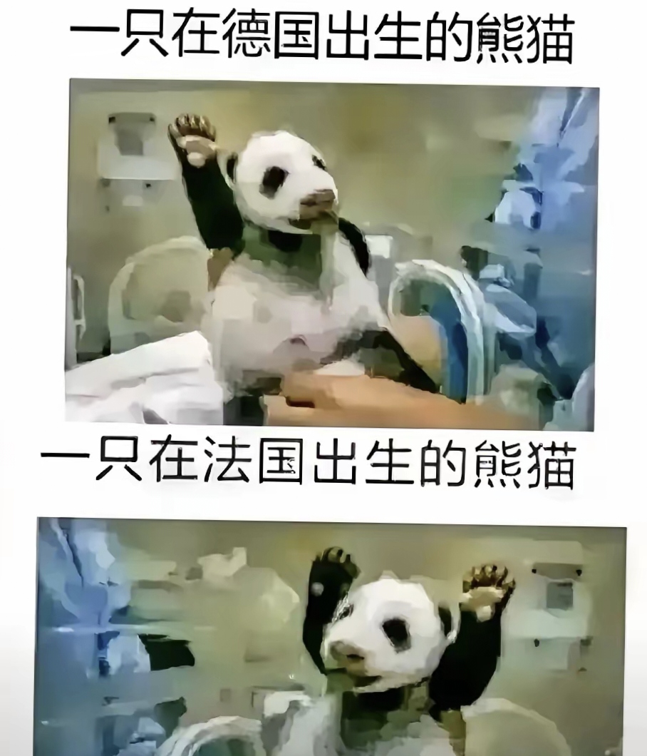 "而这张图的效果不亚于抖焦Ｍ己诿ê桶准Φ墓ＯＬ乩掌 熊猫法国梗图