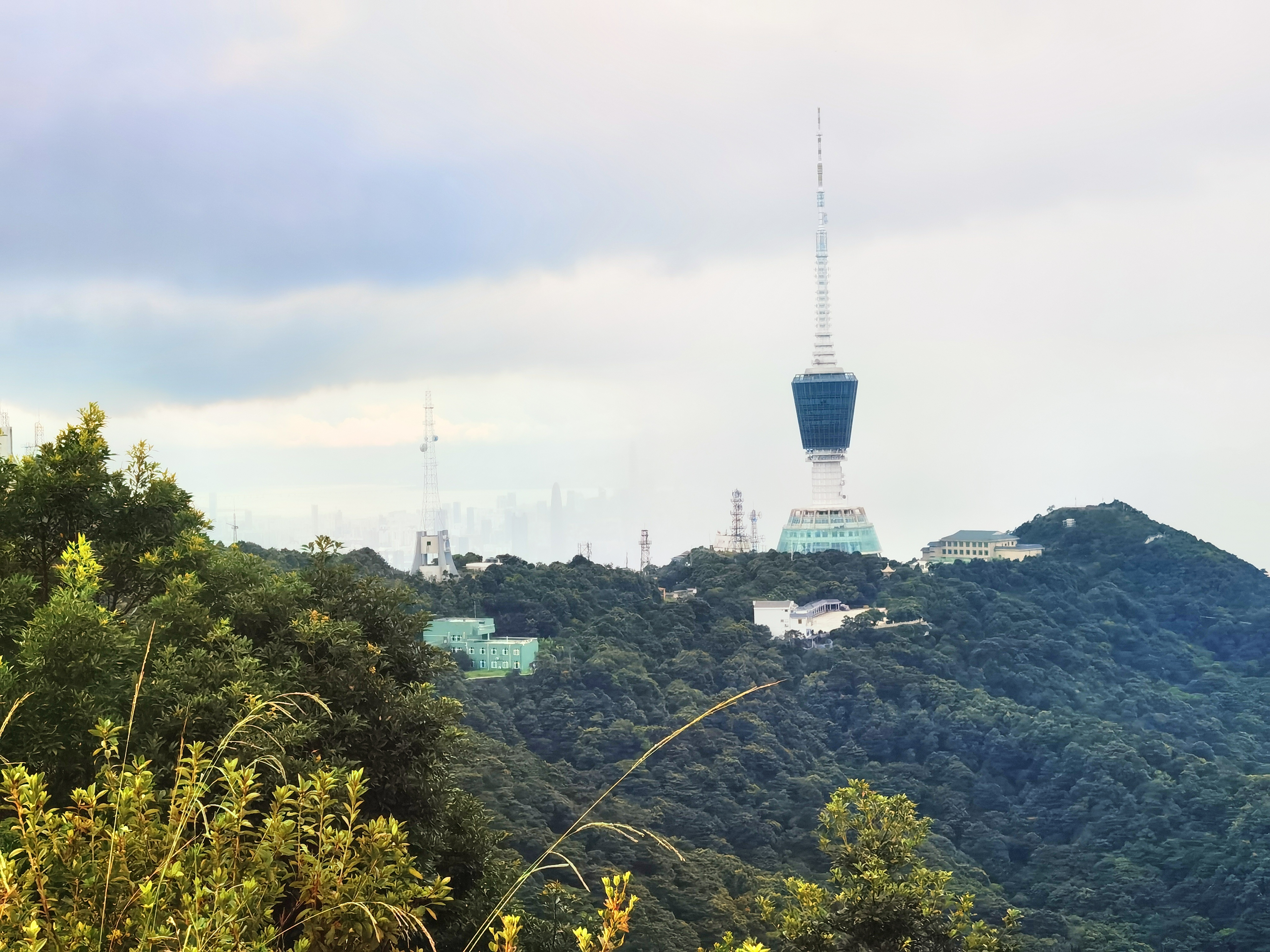 大小梧桐山图片