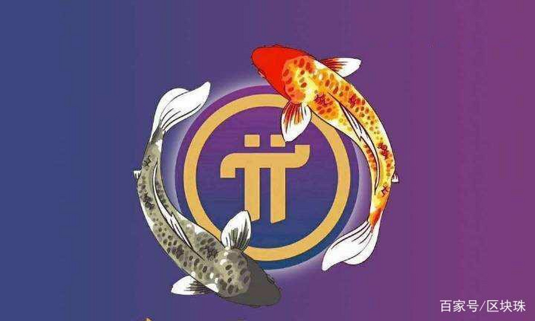 我不想听到关于pinetwork的任何新闻了,只是默默的点