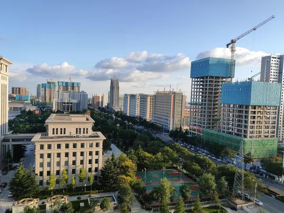 拍摄于甘肃庆阳市西峰区城南绿地广场海绵运动公园(2024年4月)#刺天