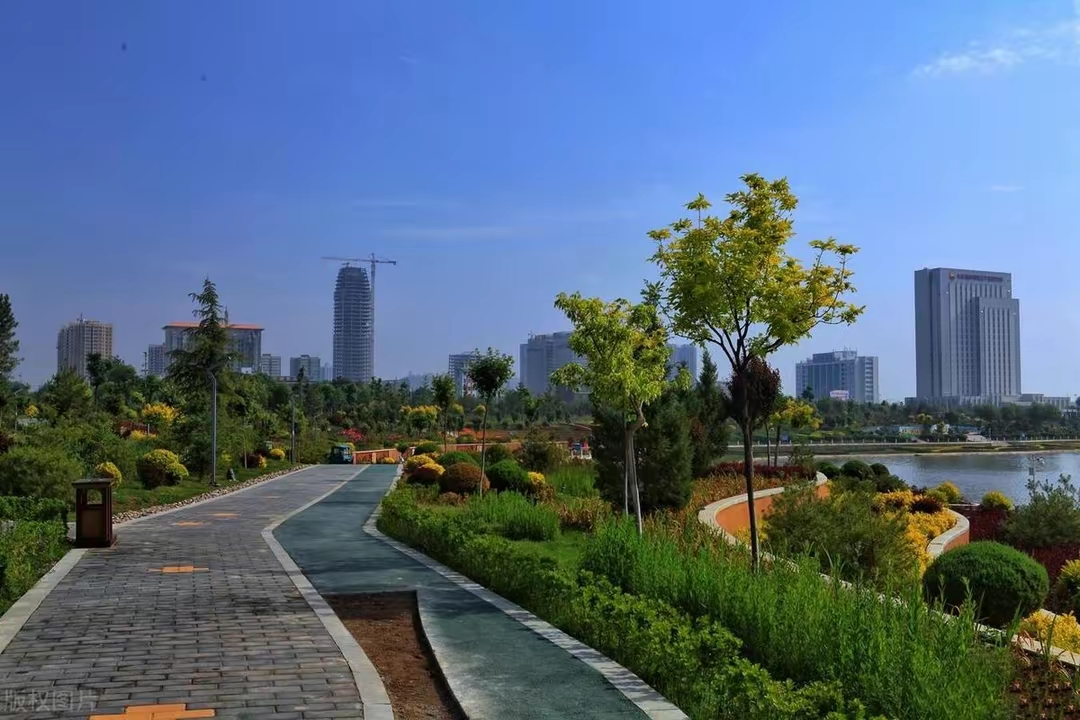 拍摄于甘肃庆阳市西峰区城南绿地广场海绵运动公园(2024年4月)#刺天