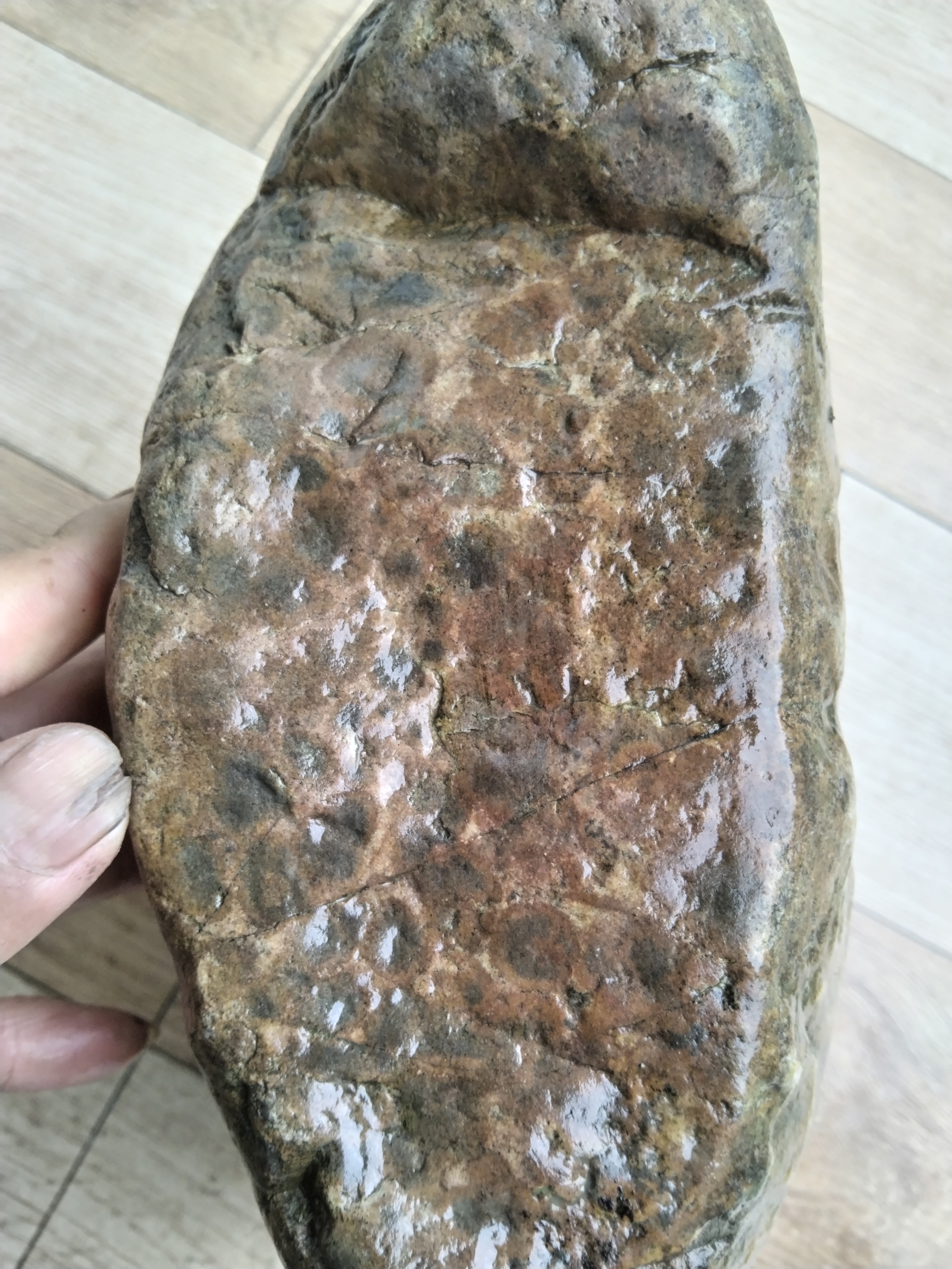 友友们,今天给大家分享一方无磁石陨石,表面熔壳完整,气印布满周身