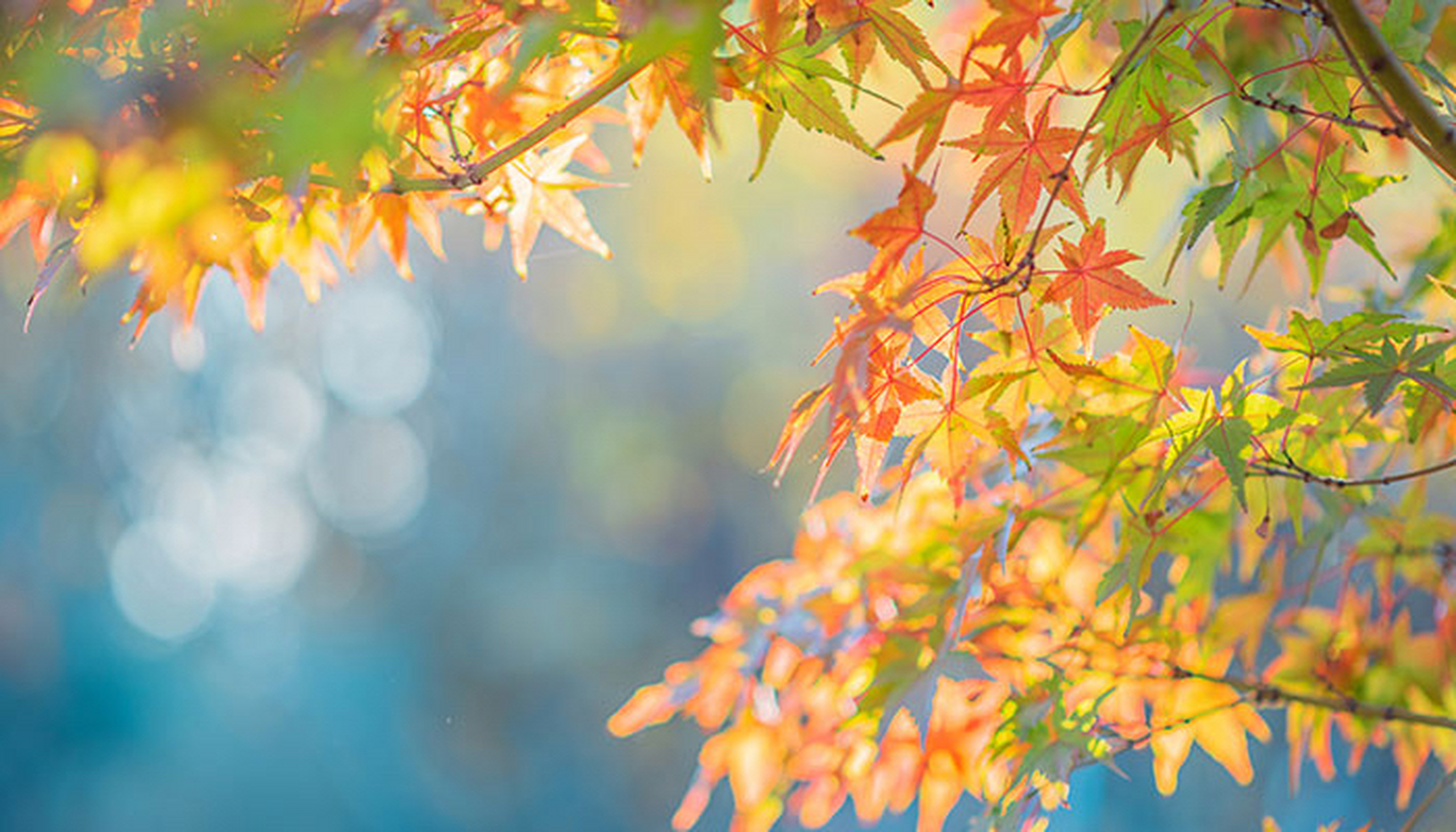 心情也随之豁然开朗,期待着未来的每一天.