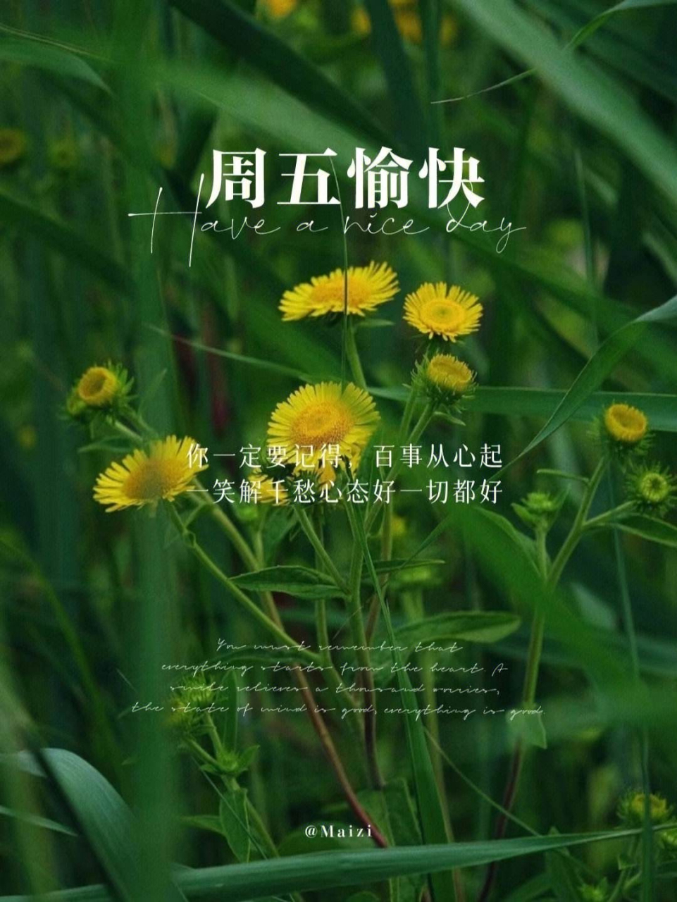 快乐周五,早安#情感微语录# #城市温暖角落# #夏日心语