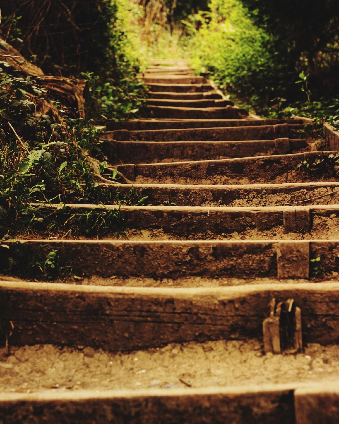 在这条路上,我们无法预知何时会有荆棘丛生,何时会有泥泞不堪.