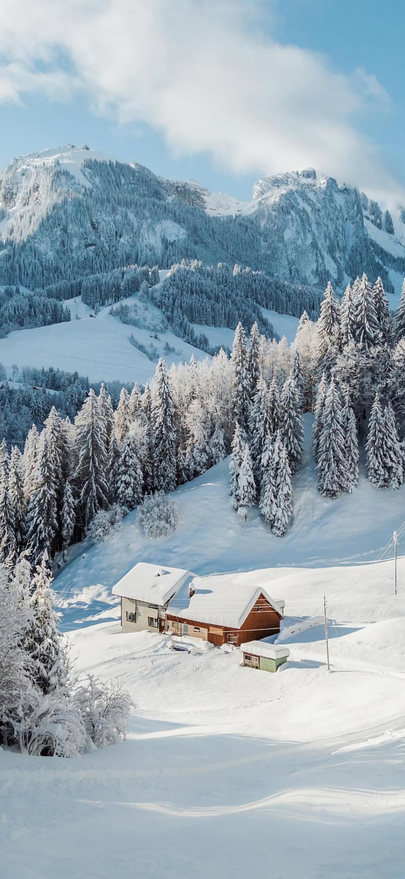 雪景壁纸|景色壁纸