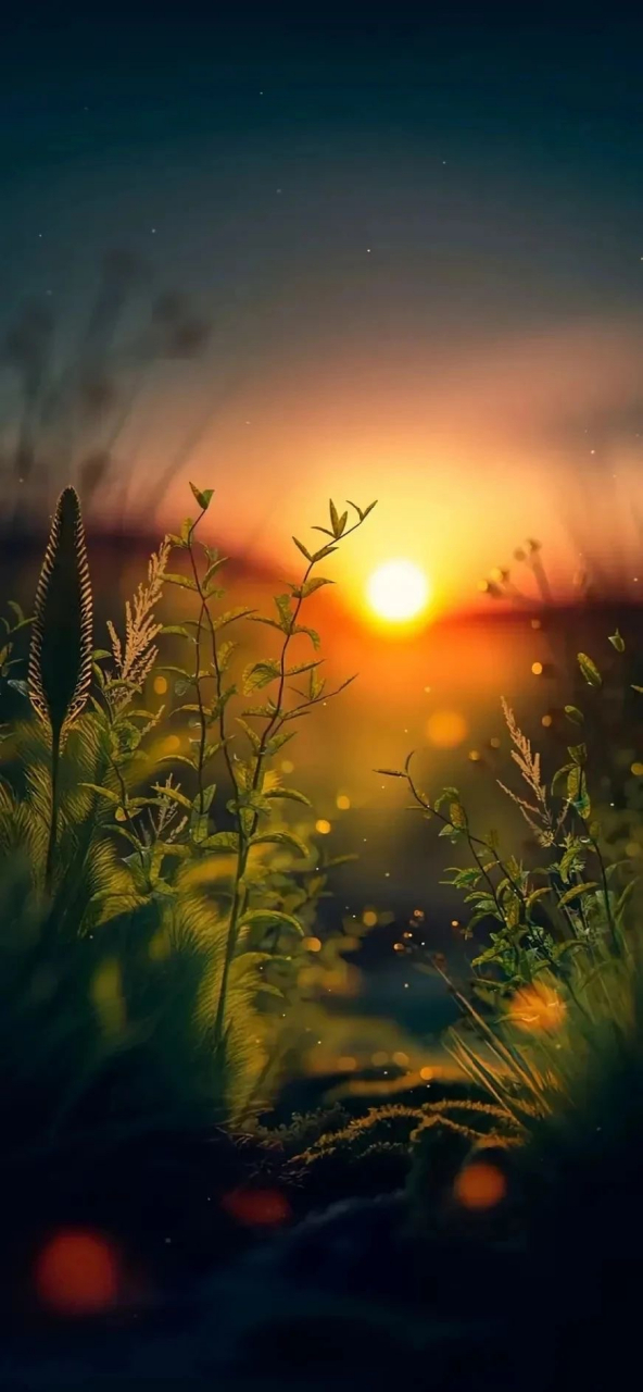 精美壁纸|意境壁纸